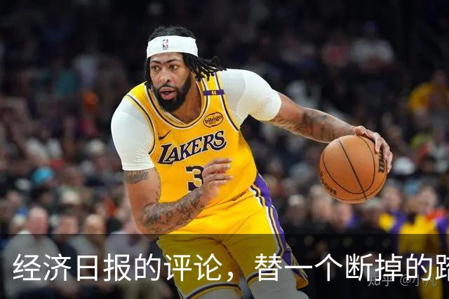 经济日报的评论，替一个断掉的踏板撑腰